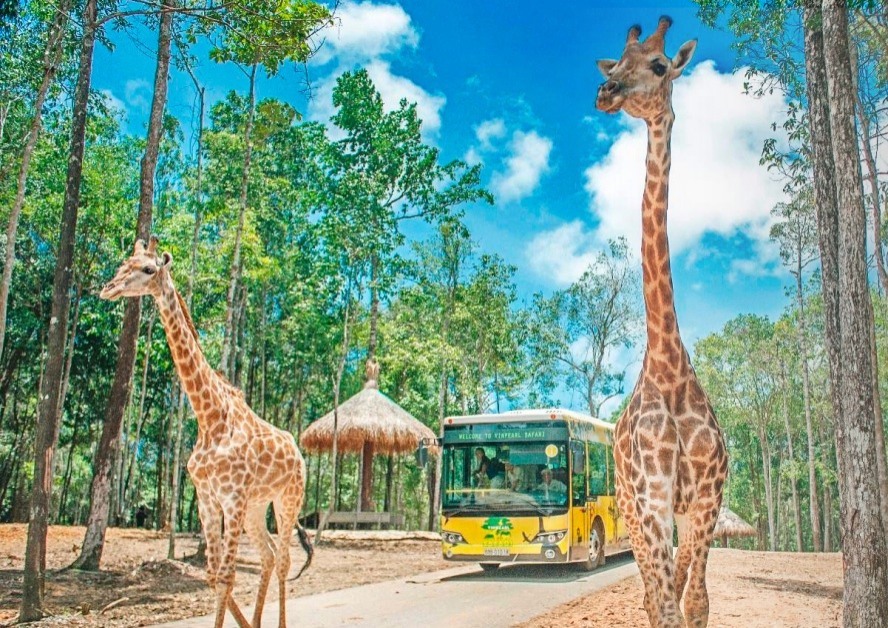 通博 通博娛樂城 越南富国联合中心东半部的半野生动物园