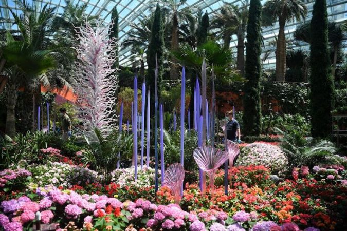 新加坡滨海湾将以绚丽奇幻的花园迎接旅游气泡的旅客 675x450